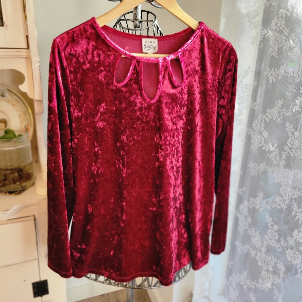 2 For $20 Whimsygoth Crushed Velvet Long Sleeve Blouse in Deep Red Crimson